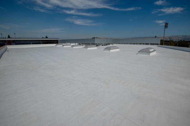 Best Steel Roofing  in Lindenhurst, IL