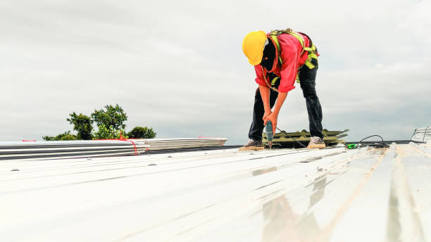 Best Roof Maintenance and Cleaning  in Lindenhurst, IL