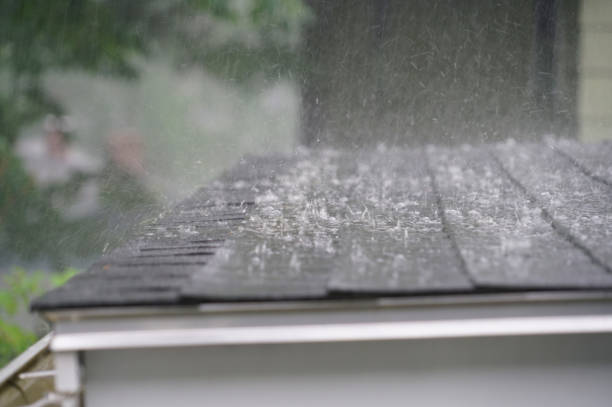 Best Roof Maintenance and Cleaning  in Lindenhurst, IL