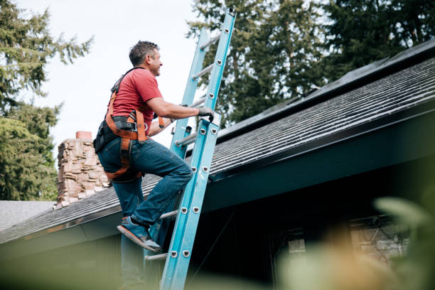 Best Rubber Roofing (EPDM, TPO)  in Lindenhurst, IL